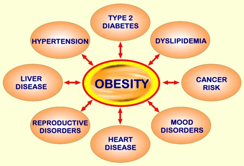 Prayer for Obesity, Gluttony, & Thyroid Problems - Keys to the Kingdom ...